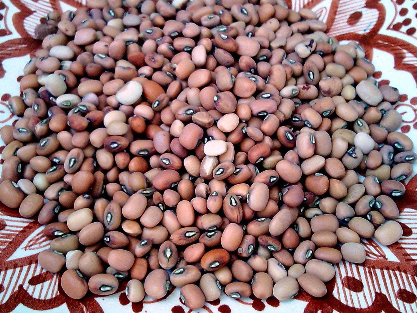 haricots à oeil noir 1kg