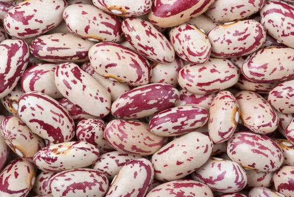 Haricots rouges a taches  1 kg
